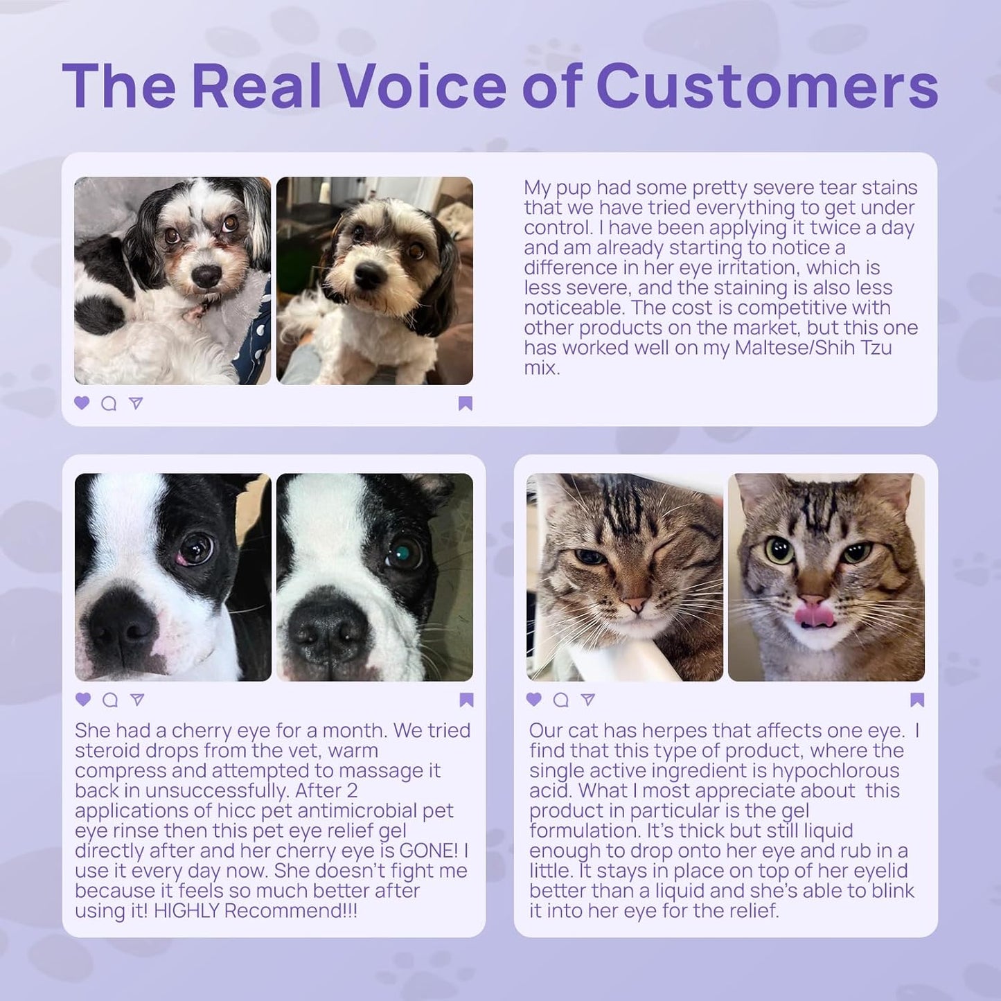 HICC PET Dog Eye Gel, Vet-Recommended Dog Eye Infection Treatment, Cat Eye Drops Wash, Soothes Irritation, Moisturizes Dry Eyes, Pet Eye Drops Ointment Alternative for Dogs, Cats, Horses. 2 fl oz