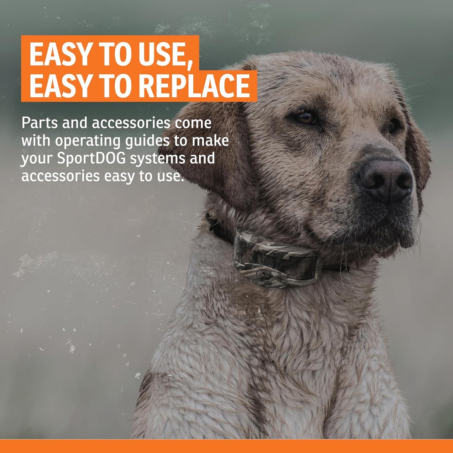 SportDOG Brand Roy Gonia Special Whistle Without Pea - Hunting Dog Training Whistle with Easy-to-Blow Design - Orange