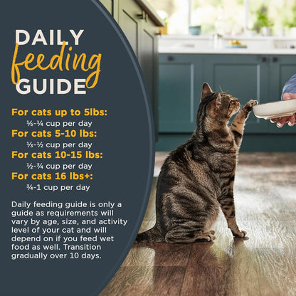 Reveal Natural Adult Dry Cat Food, High Protein, Grain Free with Added Vitamins & Minerals, Complete & Balanced Nutrition for Cats, Chicken Recipe (3 Pound Bag)