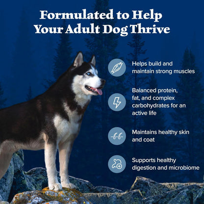 Blue Buffalo Wilderness Adult High-Protein Dry Dog Food with Real Chicken, Grain-Free, Made in The USA with Natural Ingredients, Chicken, 13-lb. Bag