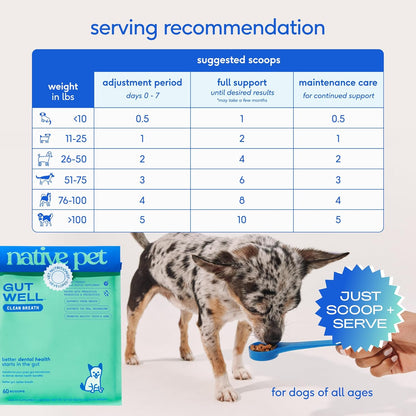 Native Pet GutWell Clean Breath - Dog Breath Freshener & Dog Dental Powder - Teeth Cleaning to Reduce Plaque & Tartar - Promotes Fresh Breath with Targeted Triple-biotic Dental Care Blend - 60 Scoops