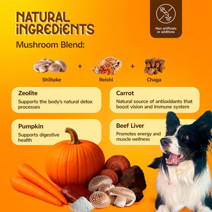 Vitality Pets – Natural Multivitamin Powder for Dogs & Cats with Zeolite clinoptilolite, Pumpkin & Mushroom Blend – Immune & Digestive Support – 100g for All Breeds & Sizes