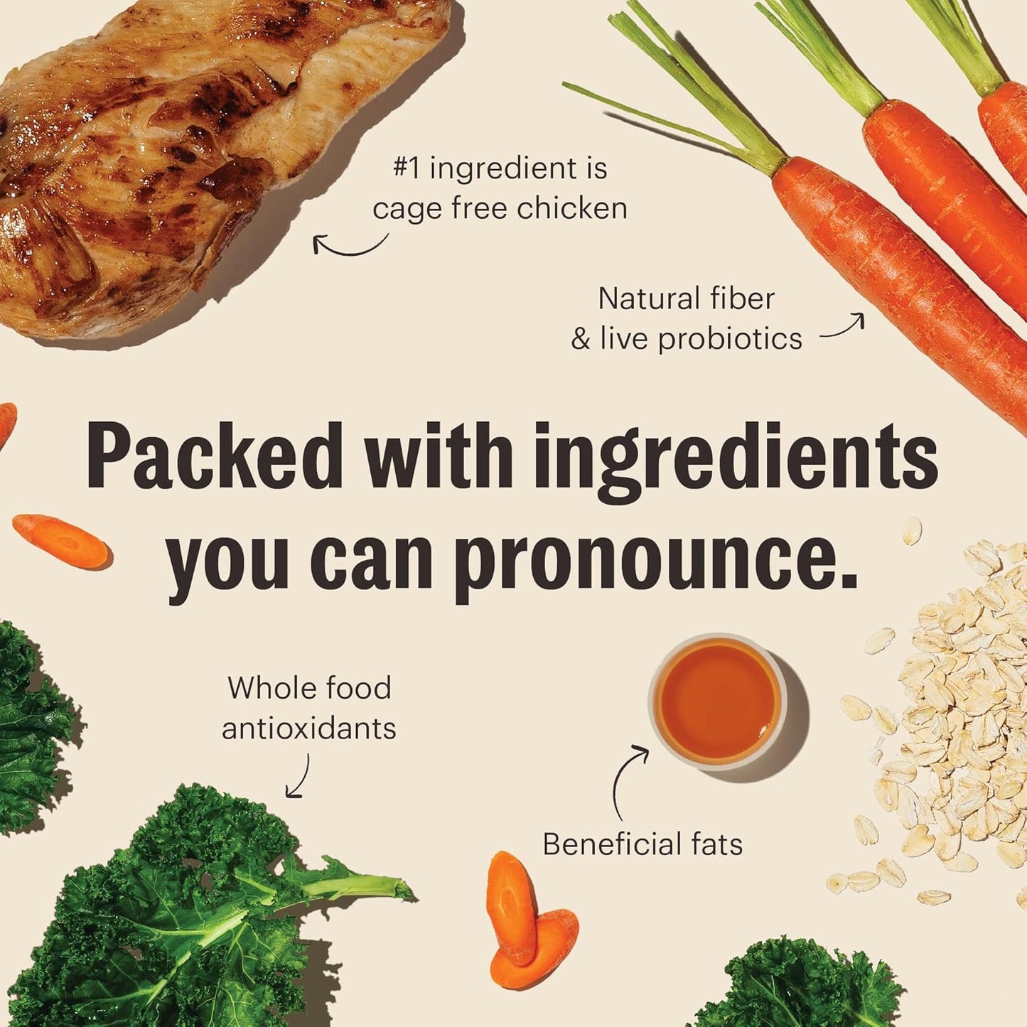 The Honest Kitchen Whole Food Clusters Whole Grain Chicken & Oat Dry Dog Food, 1 lb Bag (Pack of 2)