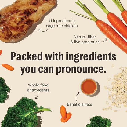 The Honest Kitchen Whole Food Clusters Whole Grain Chicken & Oat Dry Dog Food, 1 lb Bag (Pack of 2)