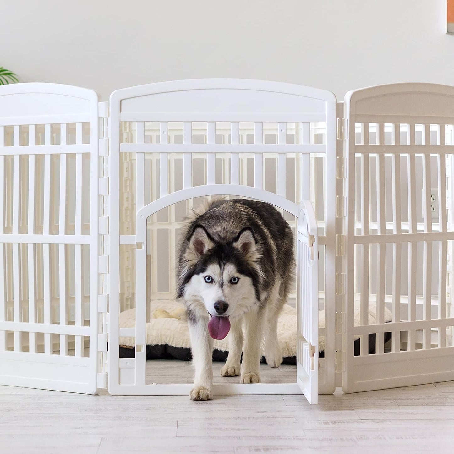 IRIS USA 34" 8-Panel Dog Playpen with Door, 63 x 63 x 35, Puppy Playpen, Dog Play Pen Indoors, Pet Fence, Puppies/Small Dogs, White