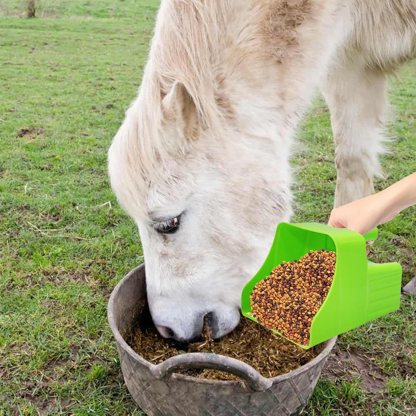 Feed Scoop - Pet Feeding Server, Ergonomic Non Slip Scoop, Sheep Cattle Horse Livestock Feeder, Poultry Backyard Gardening Farming, Yard Camping Feeding Tool, Farm Animal Food Accessory