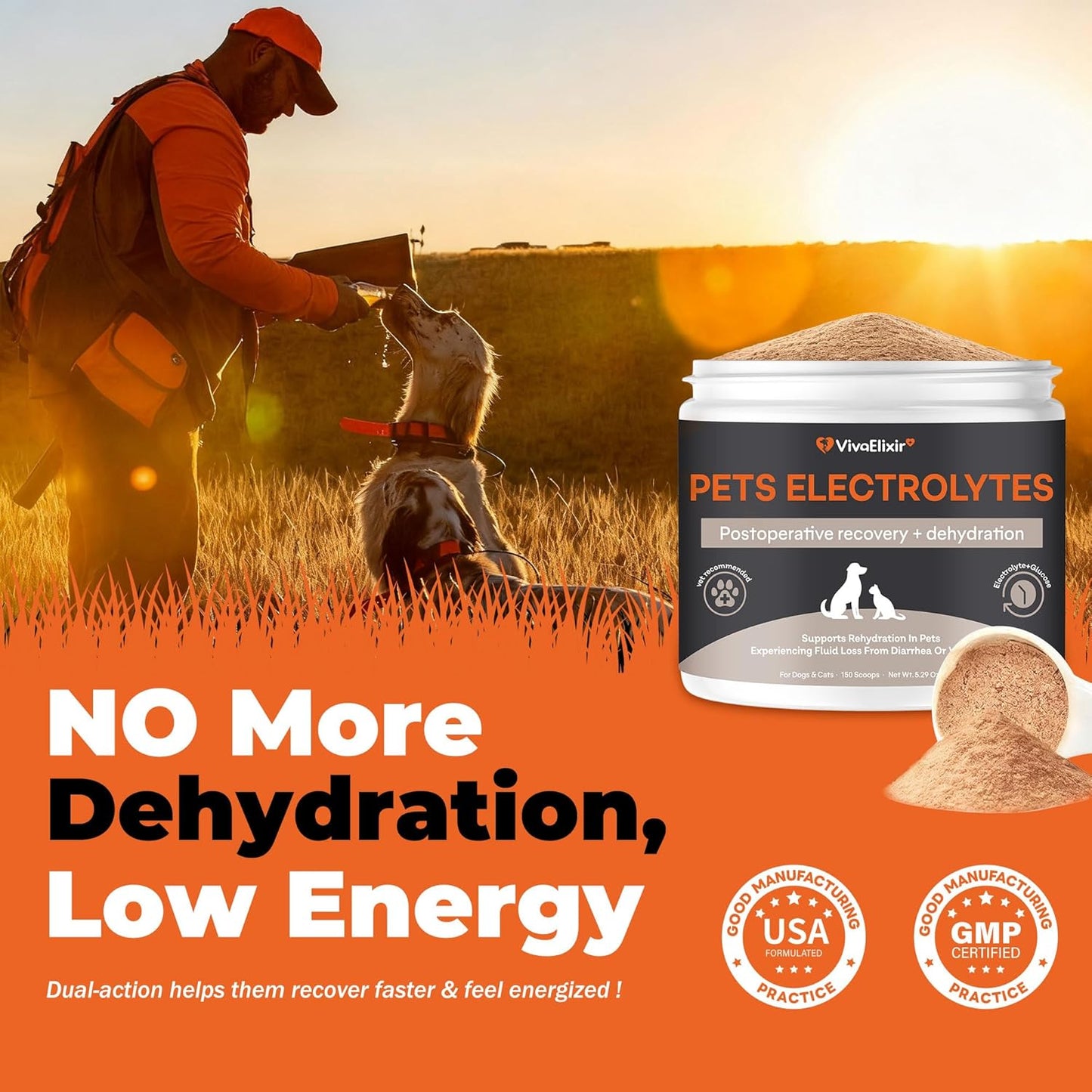 Electrolytes for Dogs – Vet-Formulated Hydration Supplement– Supports Post-Surgery & Illness Recovery– Helps Replenish Fluids & Electrolytes Lost from Diarrhea, Vomiting & Poor Appetite