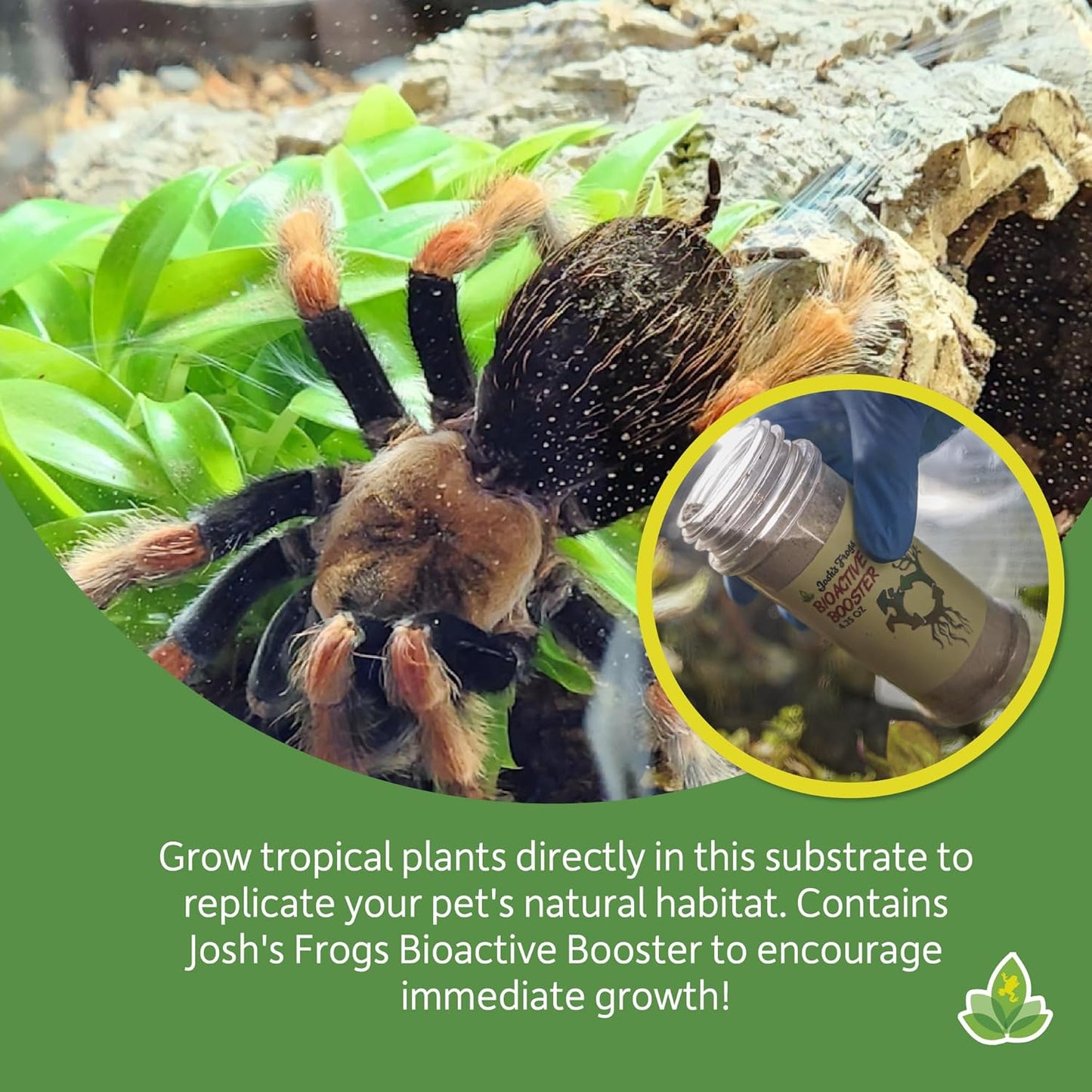 Josh's Frogs Arachnid BioBedding Bioactive Substrate (2 Quart)