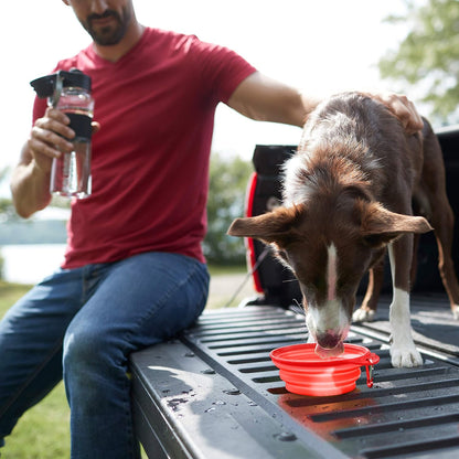 Franklin Pet Supply - Collapsible Pet Travel Bowl - BPA Free - Dogs- Cats - Dog Bowl- Food - Water Bowl - Small - Medium - Large Dog Food Bowl - Puppy- Includes Clip