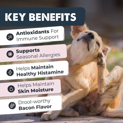 Mighty Paw Waggables Allergy Immune + Itch (Made in The USA) -Dog Chews Anti-Itch for Dogs. Allergy Support Vitamins for Skin and Coat Allergies. Omega 3 & Quercetin for Pets 120 Ct