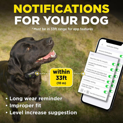 Dogtra Smart NOBARK Detects Whining and Barking, 33 ft Range App for Notifications, E-Collar, Behavior Report, Waterproof IPX9K, Compact Size for 10 lb Dogs, Triple Detection Accuracy