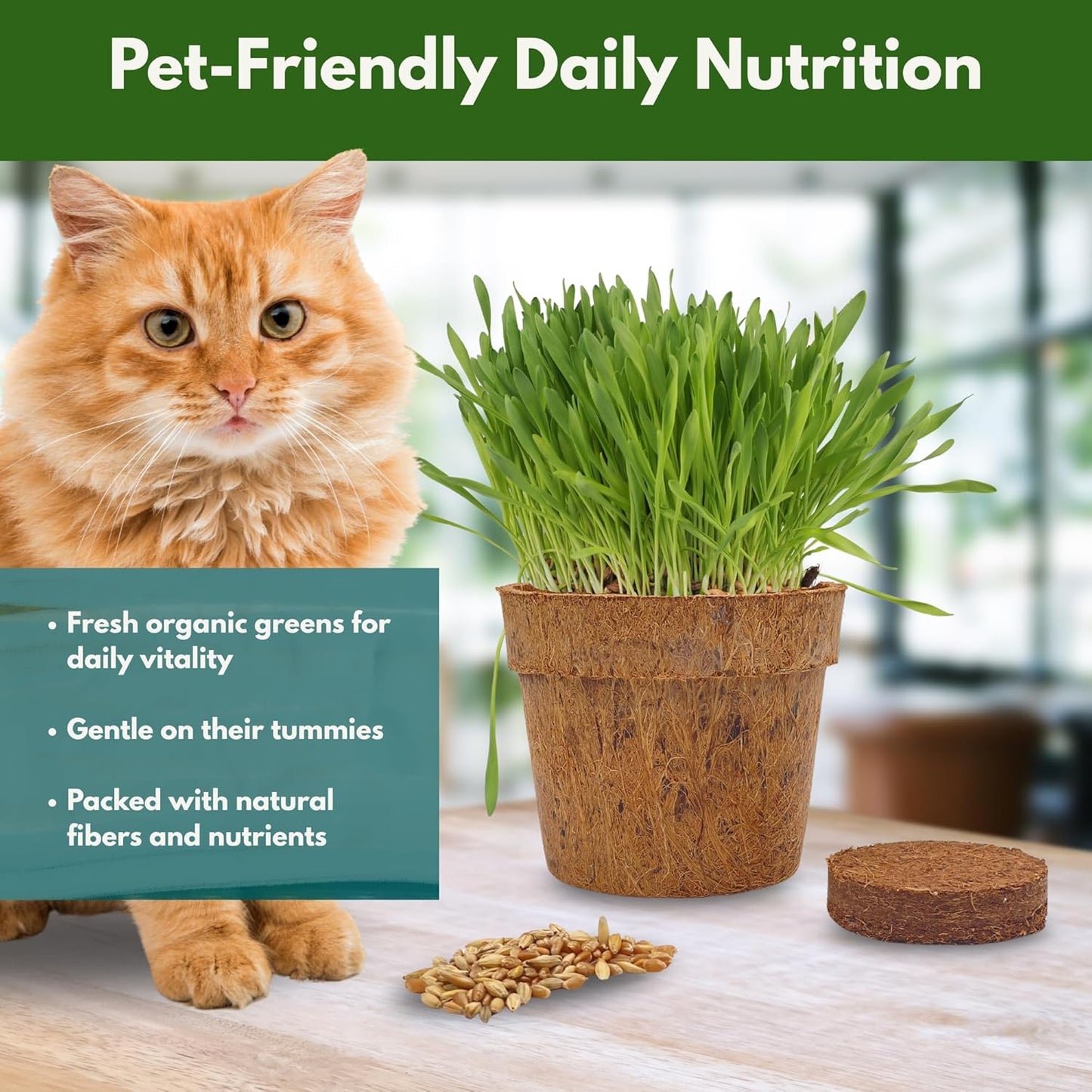 Cat Grass Kit for Indoor Cats - Organic Cat Grass Growing Kit (3 Pack) with Soil Discs, Coco Fiber Pots & Organic Seeds - Natural Hairball Control & Digestion Remedy