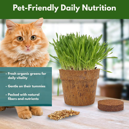Cat Grass Kit for Indoor Cats - Organic Cat Grass Growing Kit (3 Pack) with Soil Discs, Coco Fiber Pots & Organic Seeds - Natural Hairball Control & Digestion Remedy