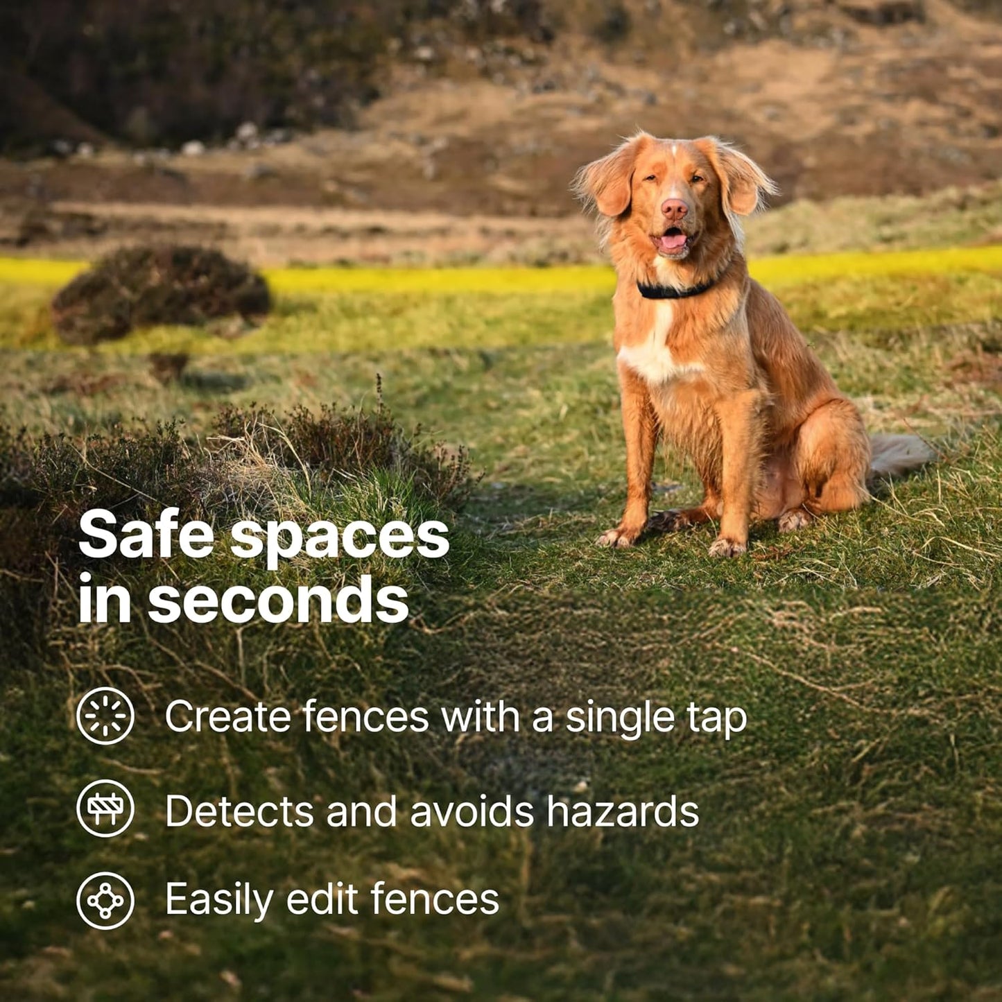 Halo Collar 5, New Wireless Dog Fence & GPS Dog Collar, Subscription Required, Waterproof, Graphite, One Size