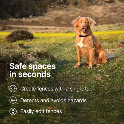 Halo Collar 5, New Wireless Dog Fence & GPS Dog Collar, Subscription Required, Waterproof, Graphite, One Size