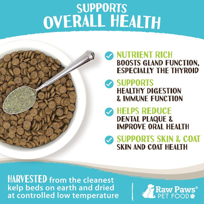 Raw Paws Organic Kelp Powder for Dogs & Cats (8-Ounce) - Supports Thyroid, Digestive & Immune Health - Dried Sea Kelp for Dogs - Seaweed Powder Supplement