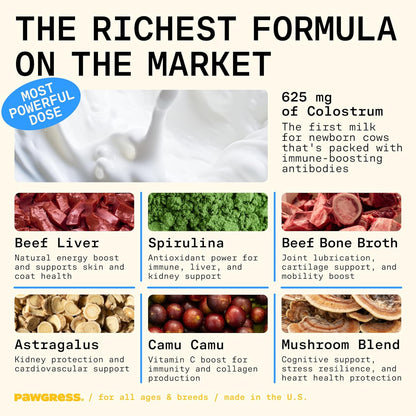 8-in-1 Dog Multivitamin – 100% Natural Supplement Powder with Colostrum for Healthy Skin, Joints & Energy – Crafted by Dog Nutritionist Kayla Kowalski, Made in USA – 30 Scoops