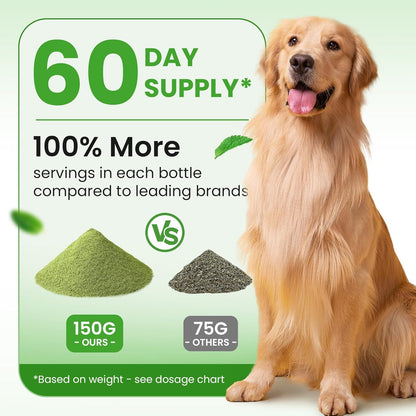 Digestive & Skin Support Chews + Dental Care Powder - Probiotics with Enzymes for Gut Comfort & Itch Ease, Tartar Control & Fresh Breath for Dogs & Cats - 180 Chews + 150g Powder
