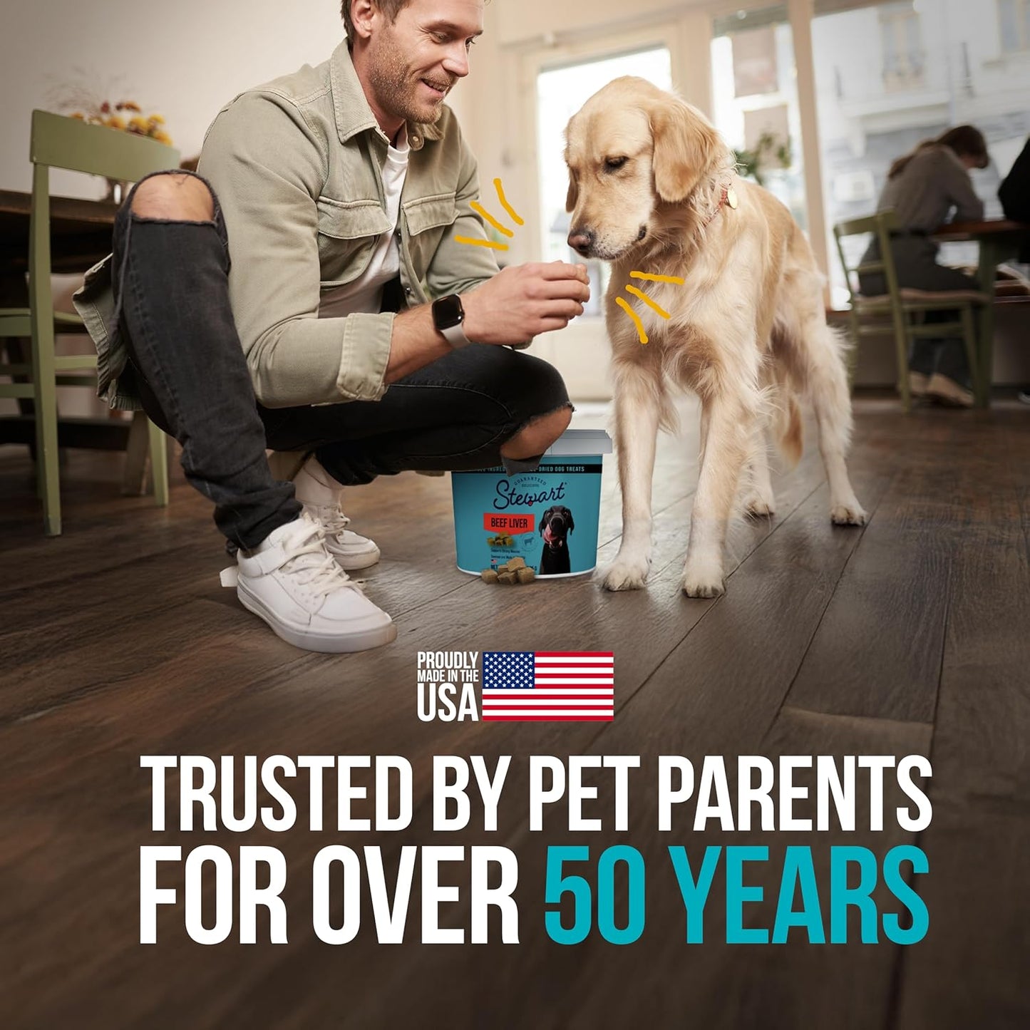 Stewart Beef Liver Dog Treats, 21 oz, ~475 Pieces, Freeze Dried Raw, Single Ingredient, 50% Protein Training Treats or Meal Topper in a Value Size Resealable Tub, Grain Free, Gluten Free