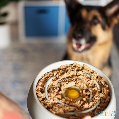 Messy Mutts and Cats Interactive Slow Feeder | Speckled Grey (3 Cup) | 9.8” Round Durable Puzzle Slow Feeder for Dogs/Cats | Enrichment Food Dish for Slow Eating, Bloating