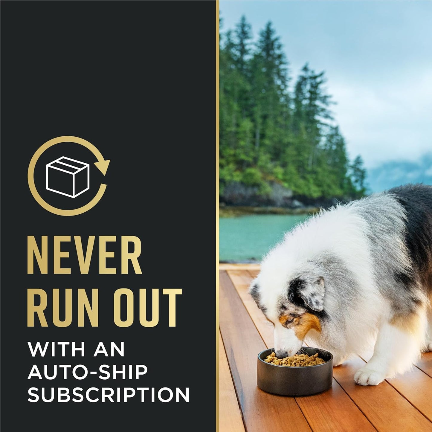 Purina Pro Plan Sensitive Skin and Stomach Dry Dog Food Turkey and Oat Meal - 4 lb. Bag