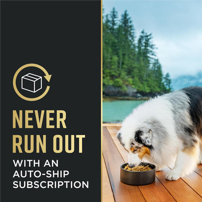 Purina Pro Plan Sensitive Skin and Stomach Dry Dog Food Turkey and Oat Meal - 4 lb. Bag