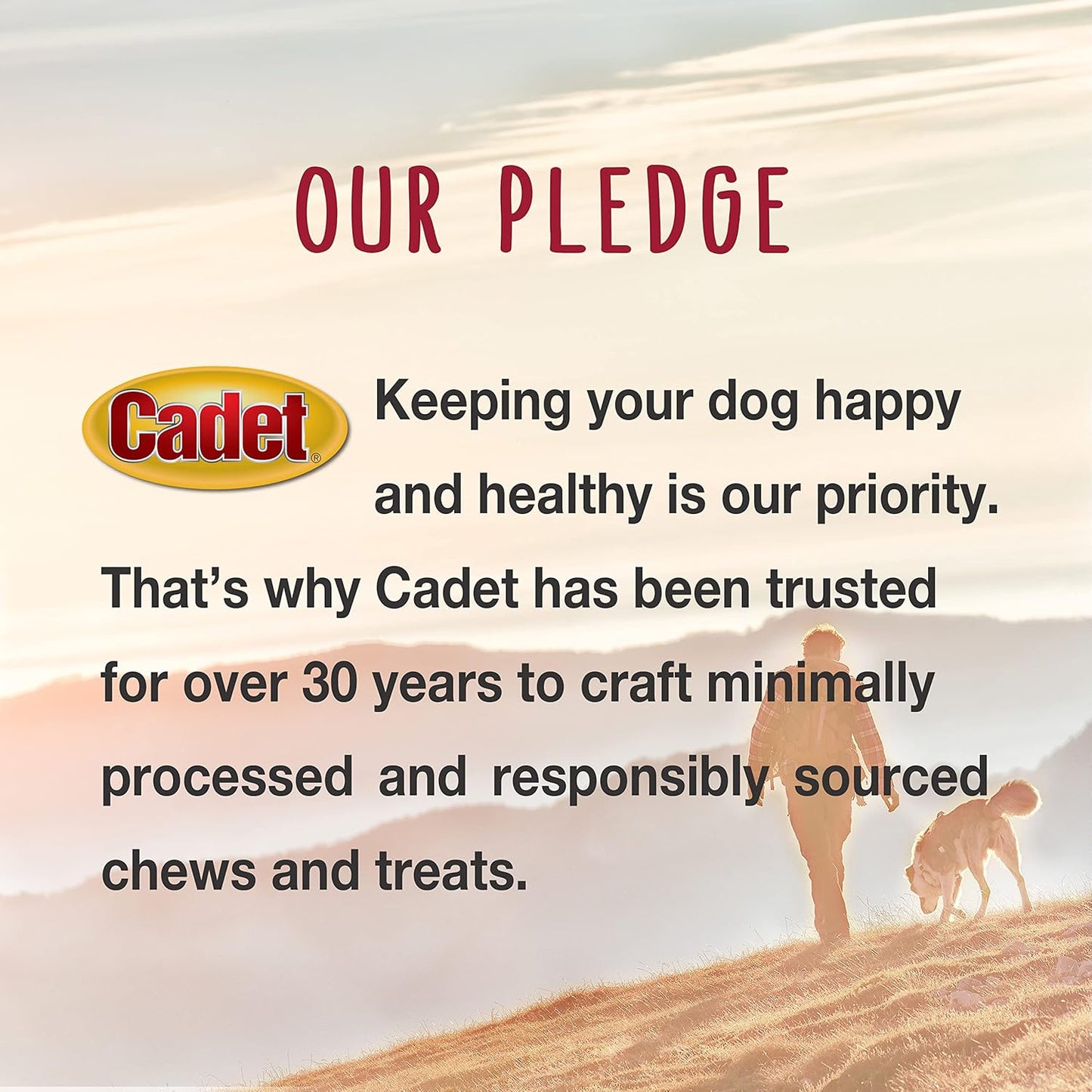 Cadet Bully Hide Sticks for Small Dogs, All-Natural Beef Pizzle, Limited-Ingredient Long-Lasting Dog Chews for Aggressive Chewers, 12 Count