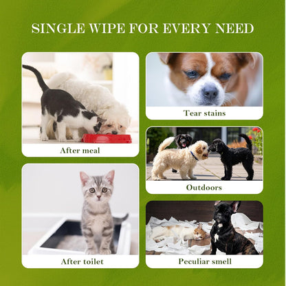 Unscented Hypoallergenic Pet Wipes - Deodorizing Cleaning Wipes for Dogs & Cats, Alcohol-Free & pH Balanced, Thick & Large Wipes for Paws, Body, Bum & Face, (320 Count, More favorable)