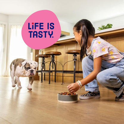 Kibbles ‘n Bits Mini Bits Small Breed Dry Dog Food, Savory Bacon & Steak Flavor for Adult Dogs, 3.5 lb. Bag