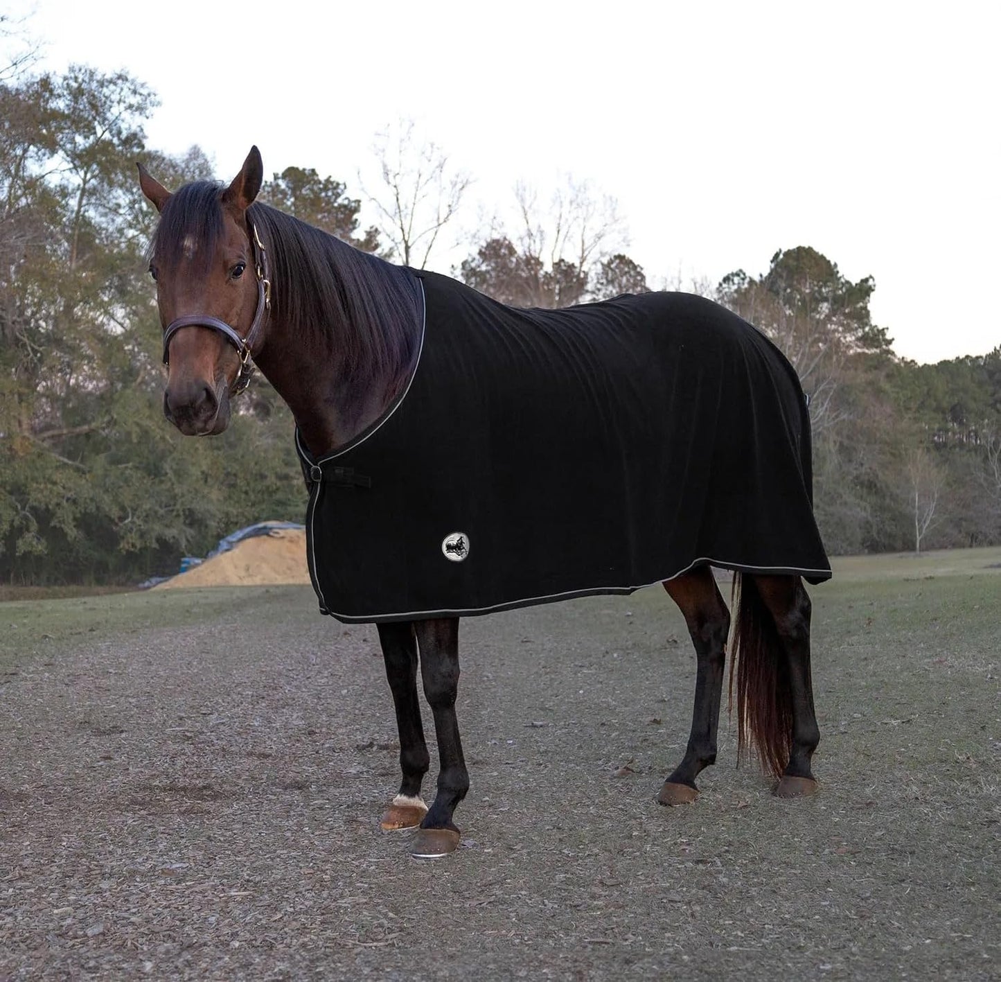 Jeffers Equine Elite Fleece Horse Cooler Blanket, 78 Inch – Soft, Adjustable Fit, Lightweight, Easy Care, Moisture Wicking Cooling Sheet with Surcingle for Post Exercise, Travel for Horses – Black