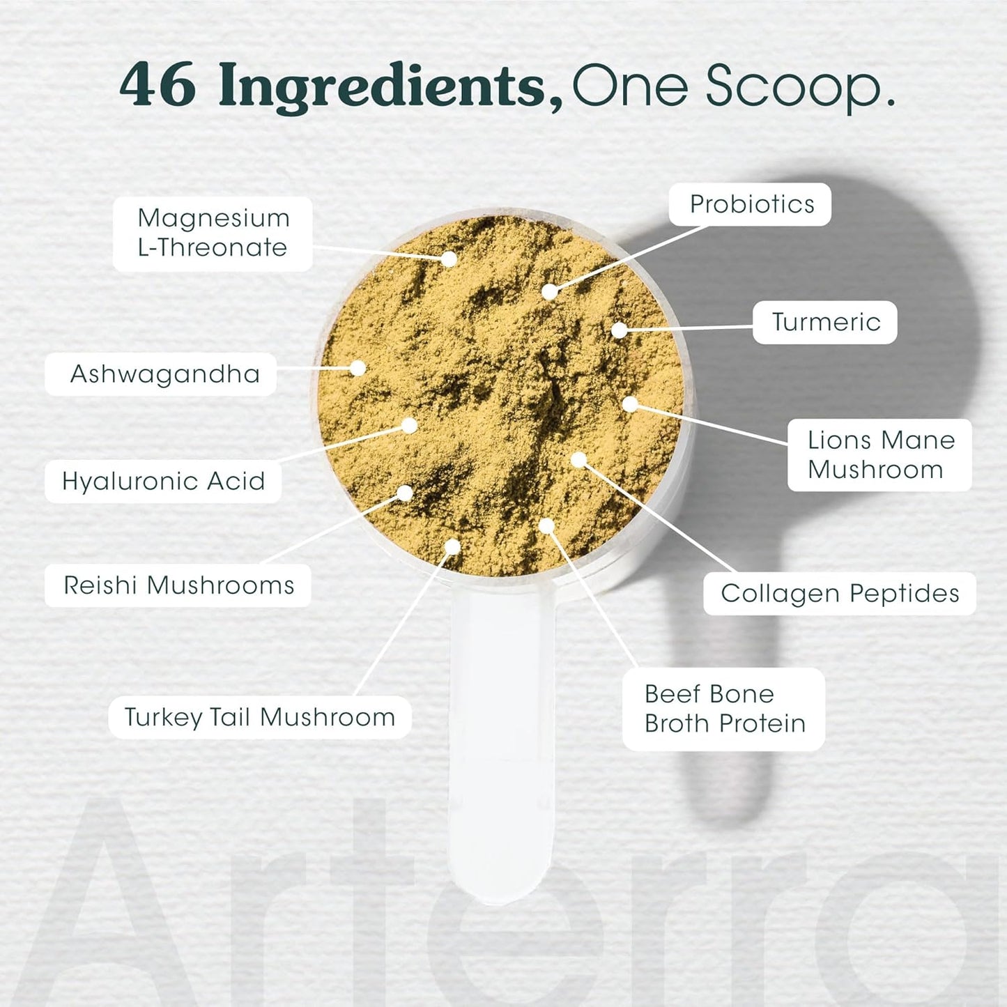 Longevity Multivitamin for Adult Dogs – 46 Ingredients for Gut, Immune & Brain Health – Daily Supplement & Food Topper for Whole Body Wellness | Sample Size