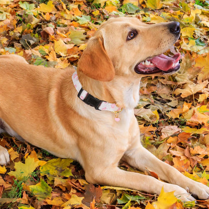 Cotton Handmade Dog Collar Cute and Distinctive Patterns White and Pink Love Heart with Pendant for Girl Boy Dogs Collars L