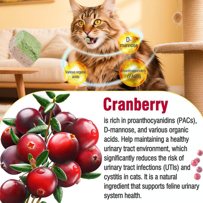 HavenJanny Freezed-Dried Cat Grass Treats, Catgrass Cranberry Duo Bites, Cat Dental Treats for Hairball Control and Urinary Tract Support, Cats Teething Stick (60g, Cranberry)