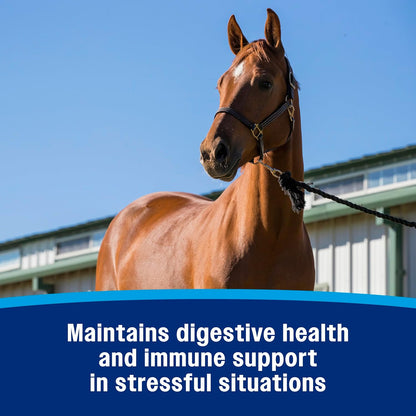 Farnam Probiotic Paste for Horses, Rapid Delivery Digestive and Immune Health Supplement Supports a Healthy Microbial Balance in Times of Stress