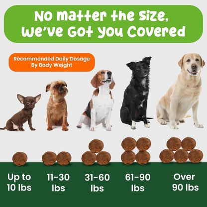 Vibin’ Tails Dog Multivitamin, Chewable Dog Vitamins and Supplements with Glucosamine, Chondroitin, Probiotics & Omega-3 for Hip & Joint, Skin & Coat – Puppy & Senior Multivitamin – 120ct