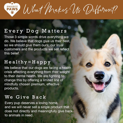 Bone Broth for Dogs with Powdered Elk Antler and Bone - Collagen and Mineral Rich Food Topper for Dogs - Whole Food Superfood Powder Multivitamin for Dogs - 4 oz