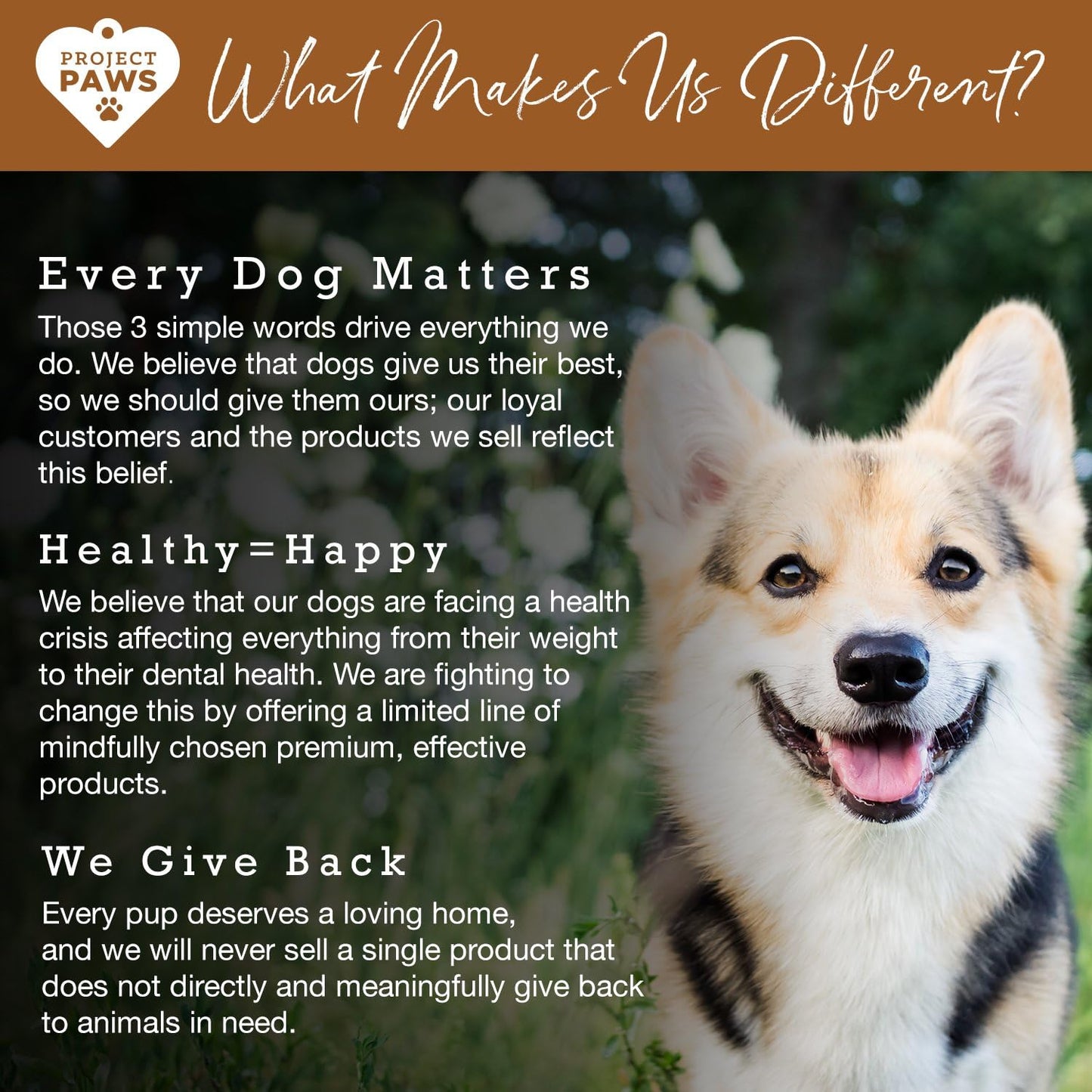 Bone Broth for Dogs with Powdered Elk Antler and Bone - Collagen and Mineral Rich Food Topper for Dogs - Whole Food Superfood Powder Multivitamin for Dogs - 4 oz