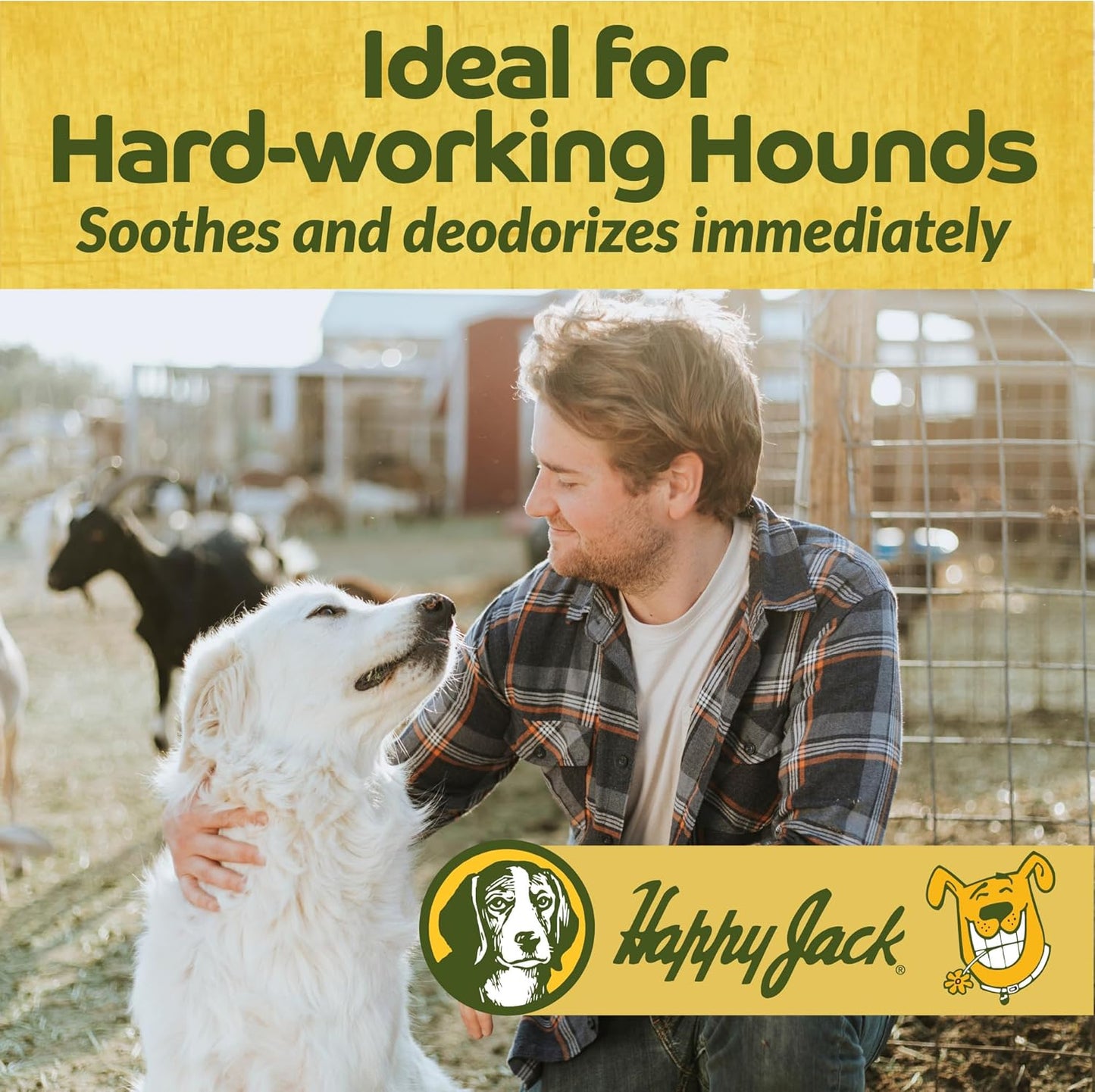 Happy Jack Itch No More Dog Itchy Skin Shampoo & Treatment (16 oz), Flea Bites, Allergies & Itch Relief, Stops Itching, Scratching & Gnawing on First Application for Healthy Dog Skin & Coat