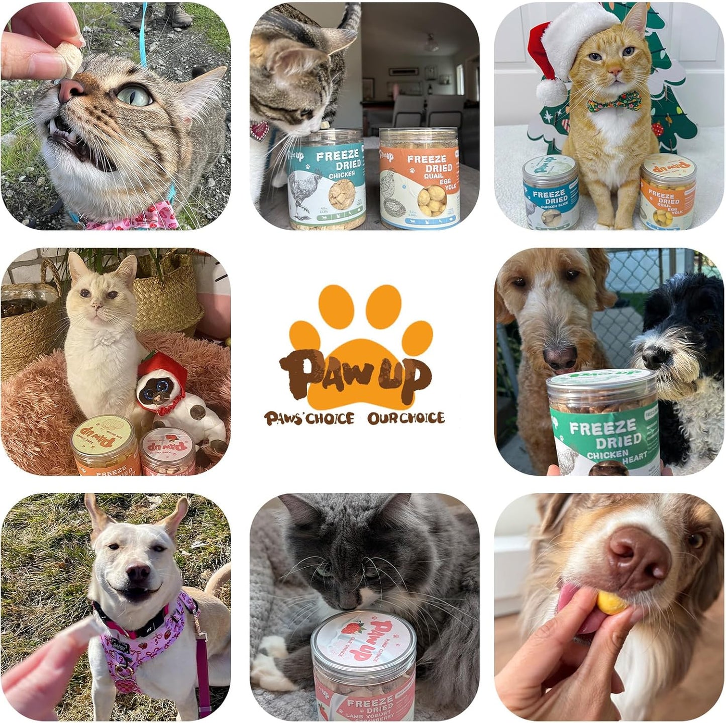 PAWUP Freeze-Dried Pumpkin Treats for Dogs & Cats – High Fiber, Single Ingredient Natural Snacks for Digestion & Gut Health, Healthy Food Toppers, 1.58 oz