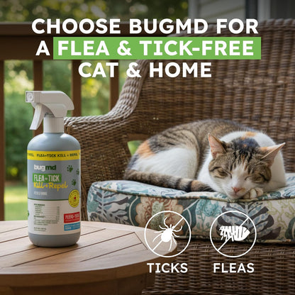BugMD Pet Safe Flea Spray for Cats & Home | Natural Indoor Flea Killer & Tick Prevention | Plant-Based Flea Treatment for Carpet, Furniture & Cat Trees with Essential Oils
