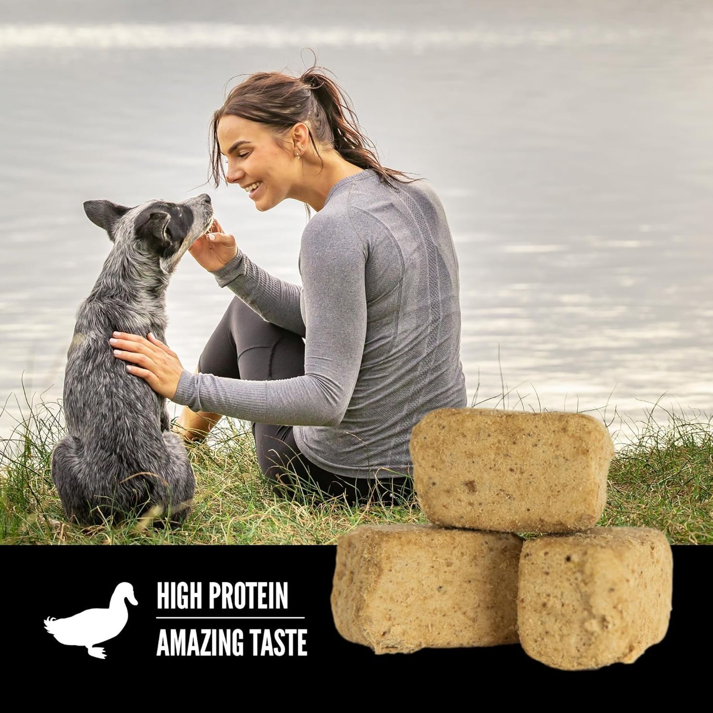 ORIJEN Grain Free High Protein Freeze Dried Dog Treats Free Run Duck Recipe 3.25oz Bag