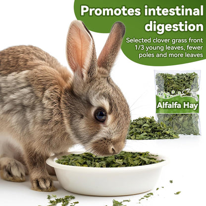 MAQIHAN Natural Alfalfa Hay for Rabbits - Dried Organic Chinchilla Guinea Pig Tender Hay for Young, Pregnant or Nursing Small Pets for Rabbit Food for Small Animals 7.58 oz