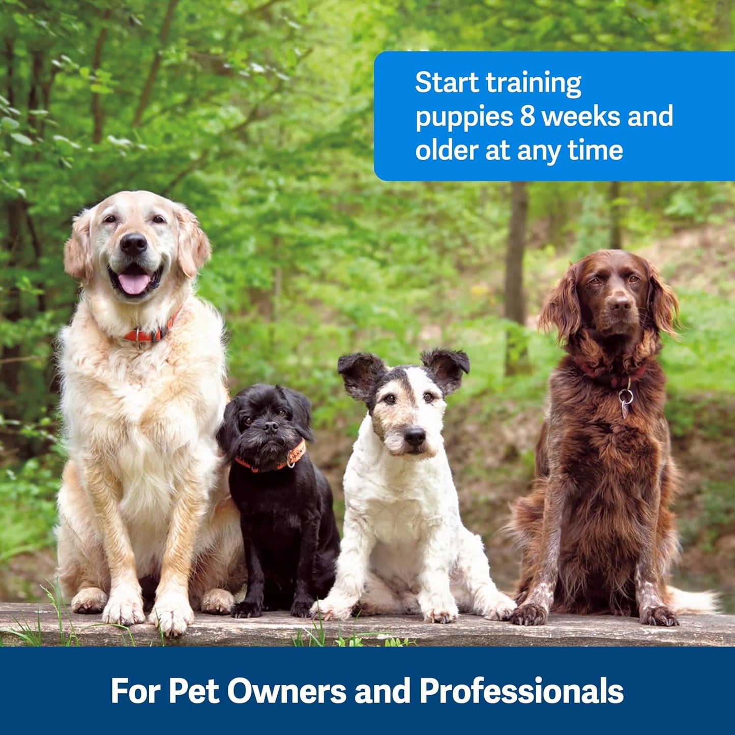 PetSafe Clik-R Training Tool - Positive Behavior Reinforcement - Ergonomic Design - Compact Finger Band - Daily Training Accessory - Clicker for Dogs & Cats - Purple