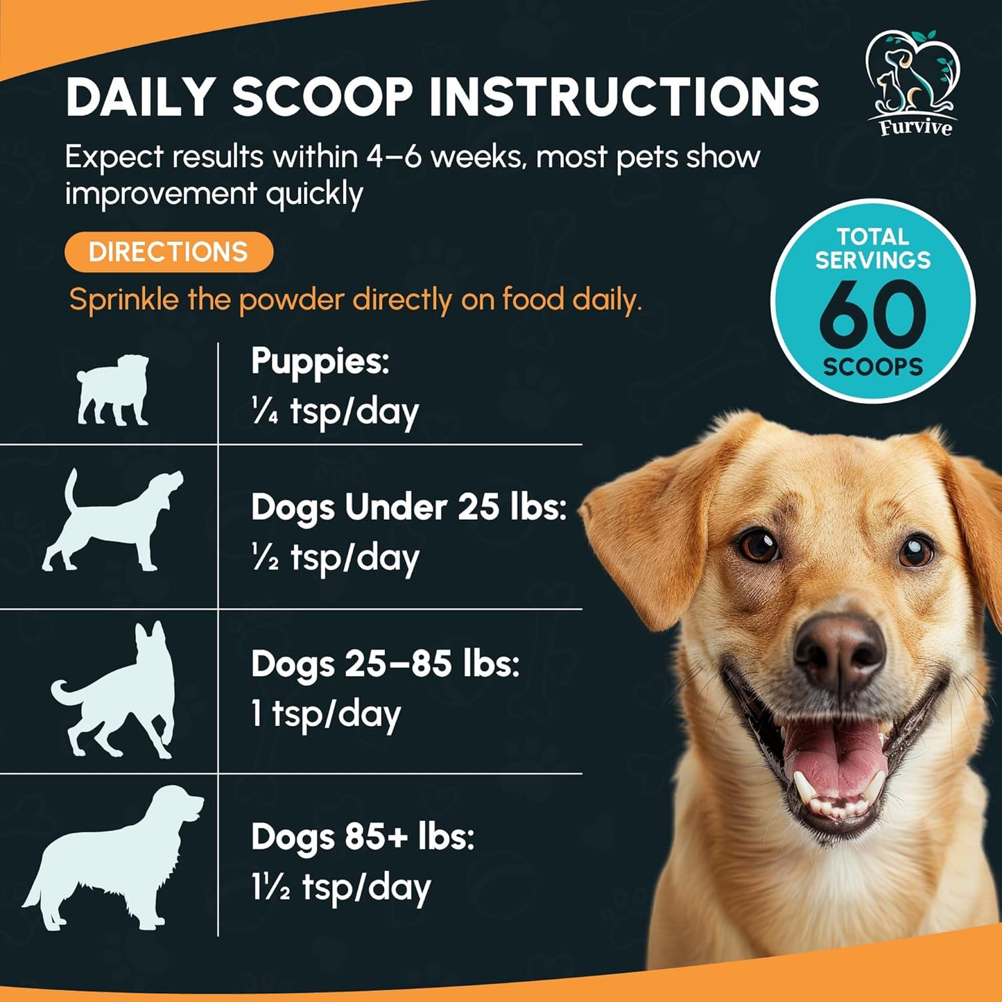 Dog Probiotics and Enzymes for Digestive Health, Gut Support, Gas & Seasonal Allergies – All Natural, Powerful Vet-Recommended Multi Strain Probiotics for Dogs – 60 Scoops