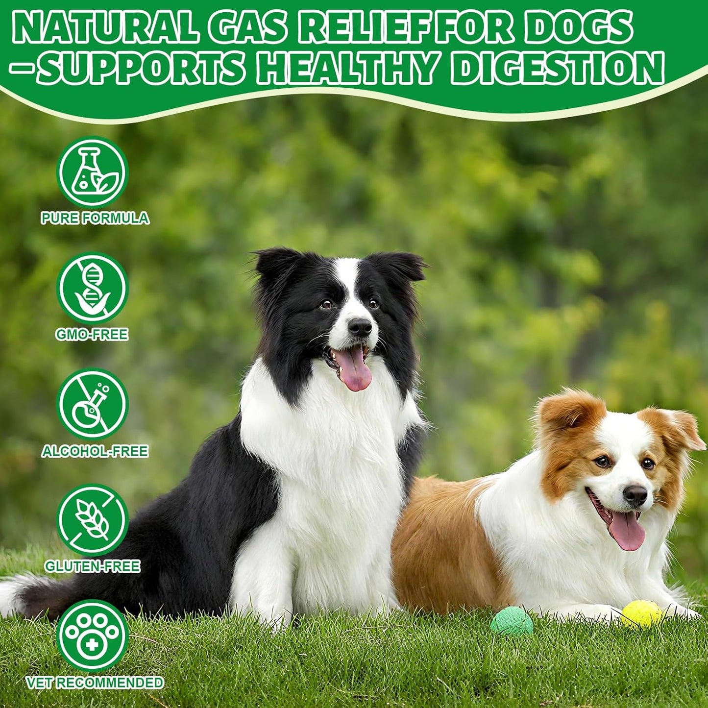 Dog Fart Remedy, Relief Smelly Farts with 4B CFU Pediococcus Acidilactici Probiotics, Digestive Enzymes, Dog Gas Relief to Help Gas & Bloating, Dogs Farts Relief, Dogs Gut Health Digestive Support