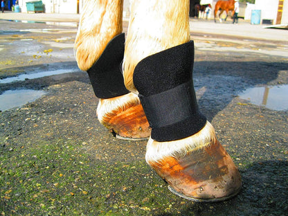 Bedsore Boots for Horses -Equine Leg Protection for Pressure Sores & Ulcers- Neoprene Stall Boots, Heal Wounds Faster, Easy On/Off, Washable & Air-Dry