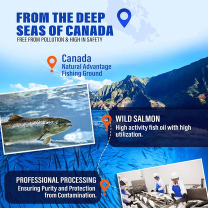 95% Omega 3 Fish Oil for Dogs & Cats, Vet-Formulated with RTG Processed Salmon Oil, Maximum EPA & DHA, Supports Heart, Skin, Coat, Joint，Heart & Immune Health, 100 Soft Gels