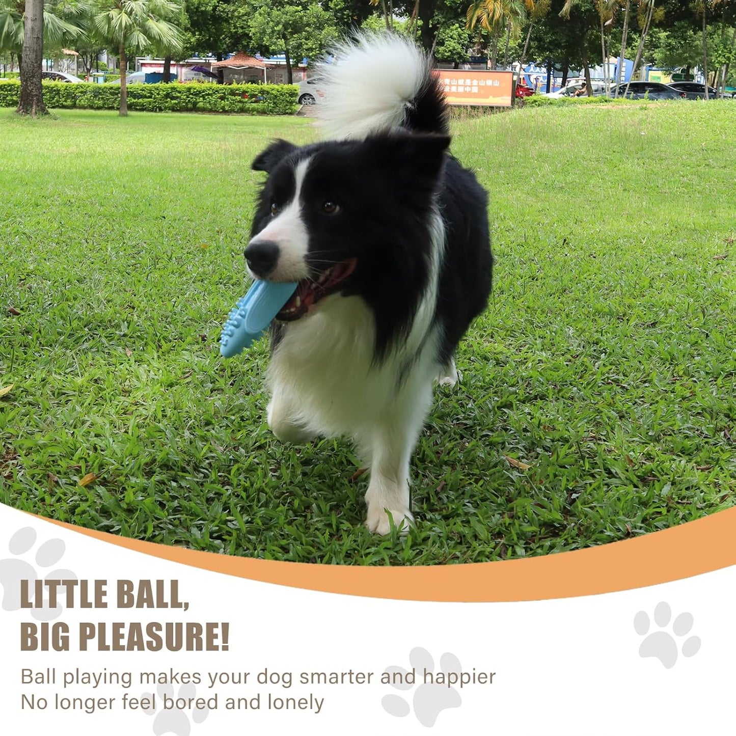 Dog Toothbrush Chew Toy Set, Corn-Shaped Dental Stick & Squeaky Ball for Small, Medium & Large Dogs, Teeth Cleaning, Chew Training, Stress Relief & Interactive Play (Blue)