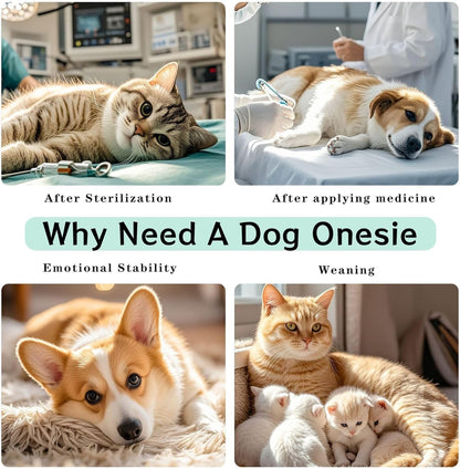 Fashion icon Dog Surgery Suit Recovery Suit, 100% Cotton Breathable Full Body Dog & Cat Surgical Suit with Cute Prints, Alternative to Cone for Spay Neuter Wound Care, Male & Female Pets Medium