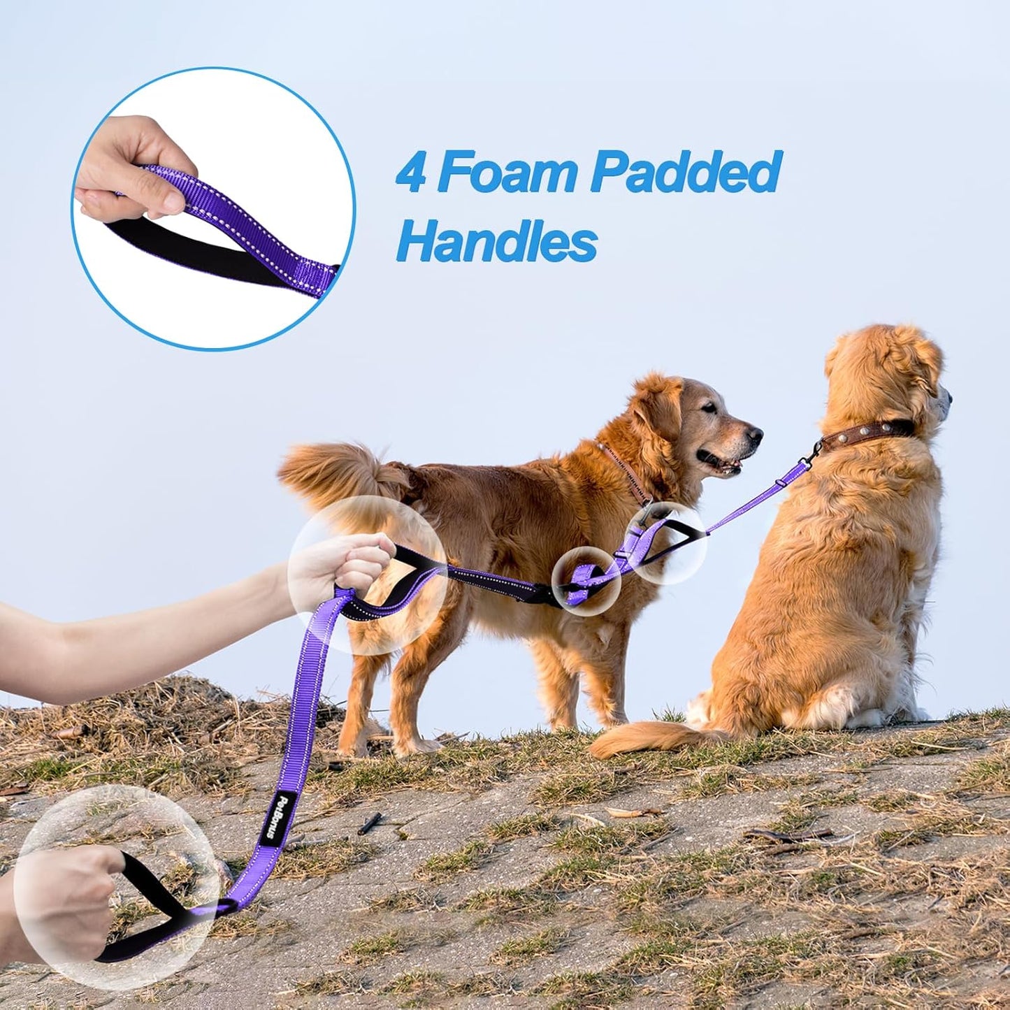 PetBonus No Tangle Double Dog Leash and Dog Seat Belt for Car